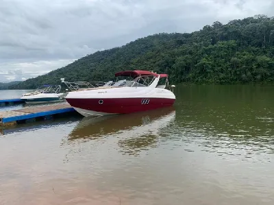 Clique para visualizar Coral 31