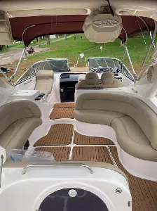 Clique para visualizar Coral 31