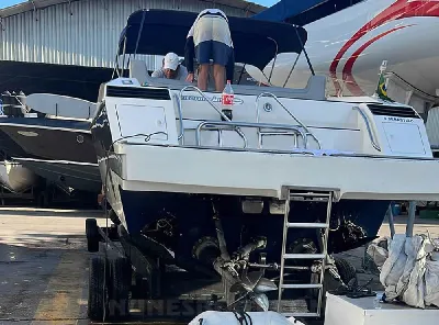 Intermarine Cougar 46