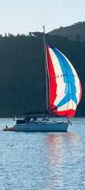 Delta 32