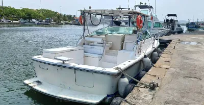 Clique para visualizar Carbrasmar 30