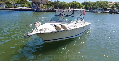 Clique para visualizar Carbrasmar 30