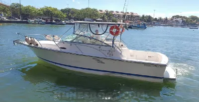 Clique para visualizar Carbrasmar 30