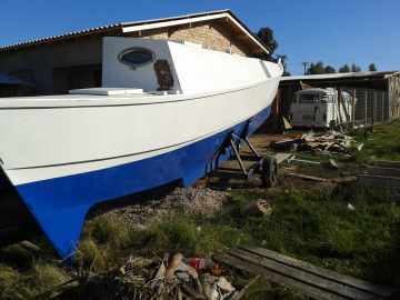 Catricat 33