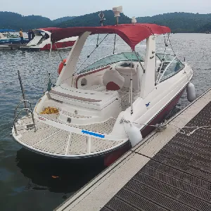 Clique para visualizar Colunna 235