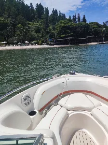 Clique para visualizar Colunna 235