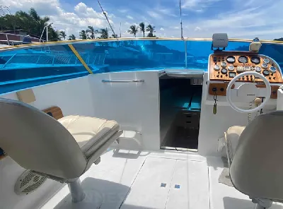 Clique para visualizar Panther 33