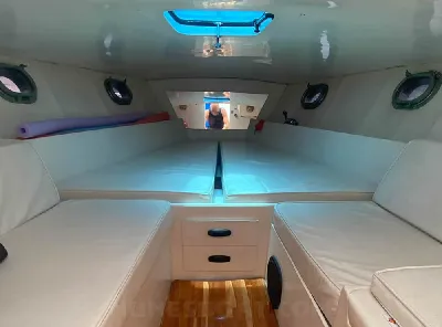 Clique para visualizar Panther 33