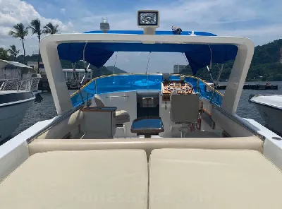 Clique para visualizar Panther 33