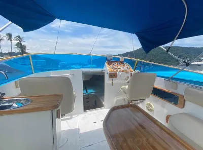 Clique para visualizar Panther 33