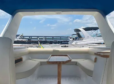 Clique para visualizar Panther 33