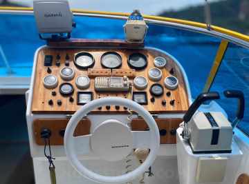 Panther 33