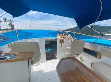 Panther 33