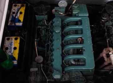 Panther 33