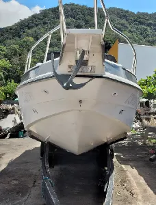 Clique para visualizar Mirage 28 Classic Gold + Carreta Encalhe