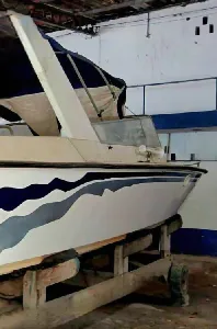 Clique para visualizar Panther 33 Offshore Legend