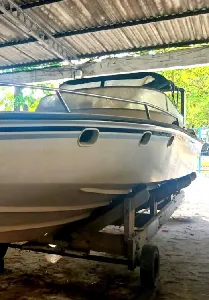 Clique para visualizar Panther 33 Offshore Legend