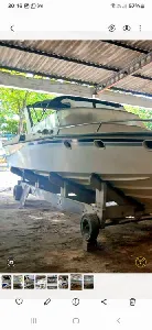 Clique para visualizar Panther 33 Offshore Legend