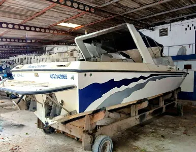 Clique para visualizar Panther 33 Offshore Legend