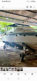 Panther 33 Offshore Legend 
