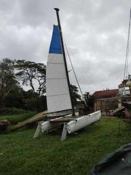 Crr cat 19