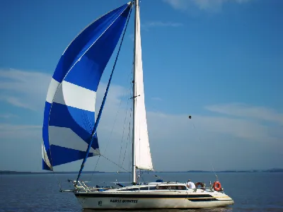 Clique para visualizar Fast 310