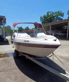 Cobra Bimini 16 + Evinrude 90 Hp 