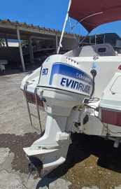 Cobra Bimini 16 + Evinrude 90 Hp 