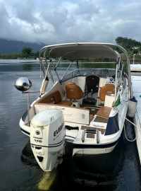 V215 Confort + Evirude 175Hp 