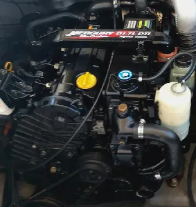 Phantom 290 + Mercruiser 1,7 120Hp Diesel 