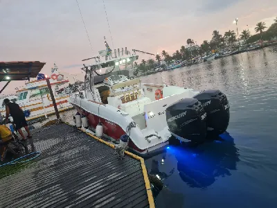 Clique para visualizar Fishing 320 Saint Tropez