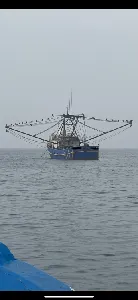 Clique para visualizar Pesca de arrasto