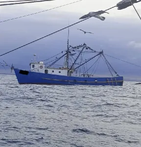 Clique para visualizar Pesca de arrasto