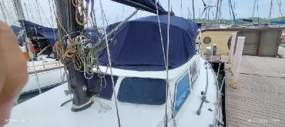 Clique para visualizar German Frers