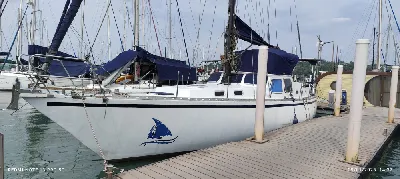 Clique para visualizar German Frers