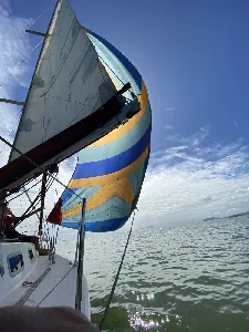 Clique para visualizar Samoa 29