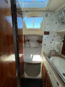 Clique para visualizar Fast 303 - ANO 1983