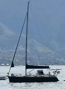 Clique para visualizar MJ 38