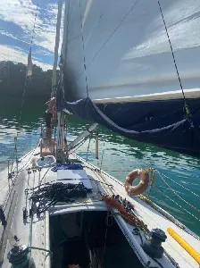 Clique para visualizar Fibramar 44