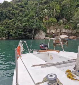 Clique para visualizar Pop 20