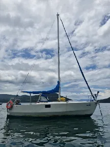 Clique para visualizar Pop 20