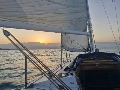 Clique para visualizar Pop 20