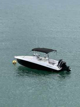 Top Fish 21