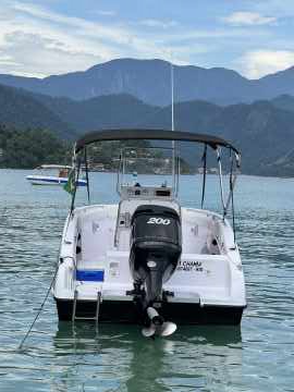 Top Fish 21