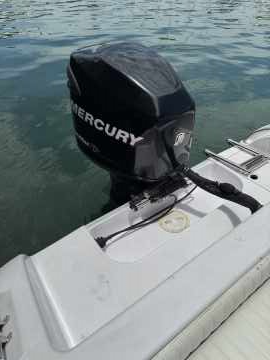 Top Fish 21