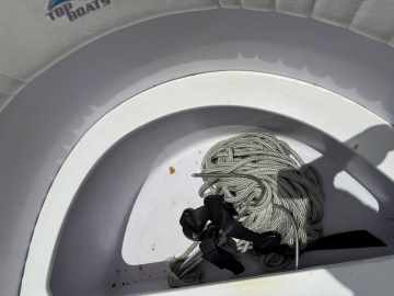 Top Fish 21