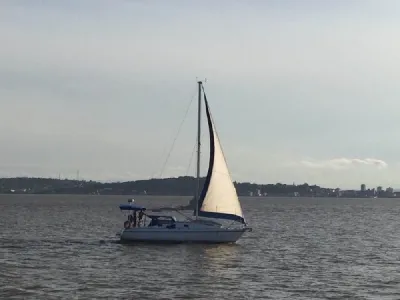 Clique para visualizar Francês