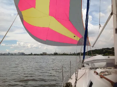 Clique para visualizar Francês