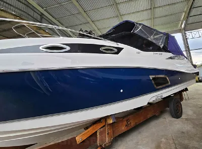 Clique para visualizar Focker 310