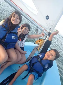 Clique para visualizar Dingue